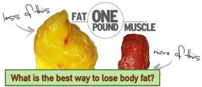 3 Simple Steps To Lose Body Fat