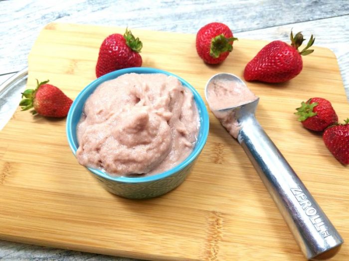 Vegan Strawberry Sorbet